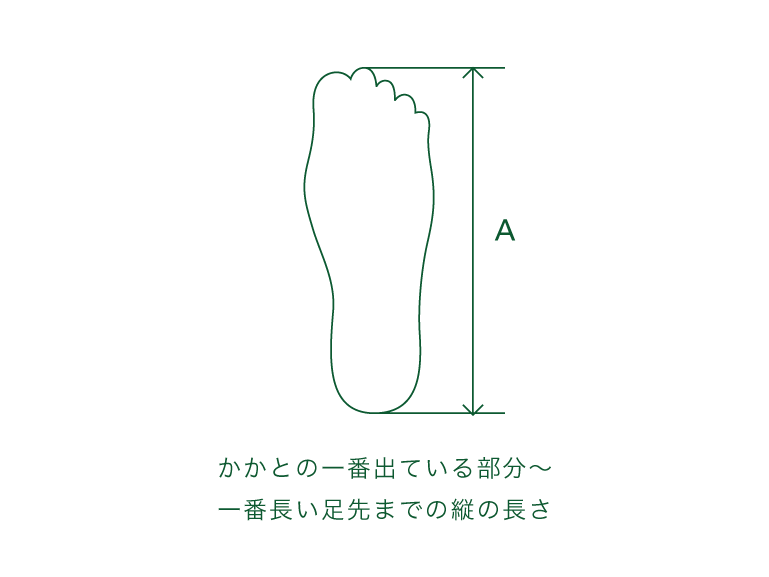 A :足の長さ