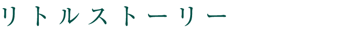 リトルストーリー