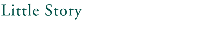 リトルストーリー