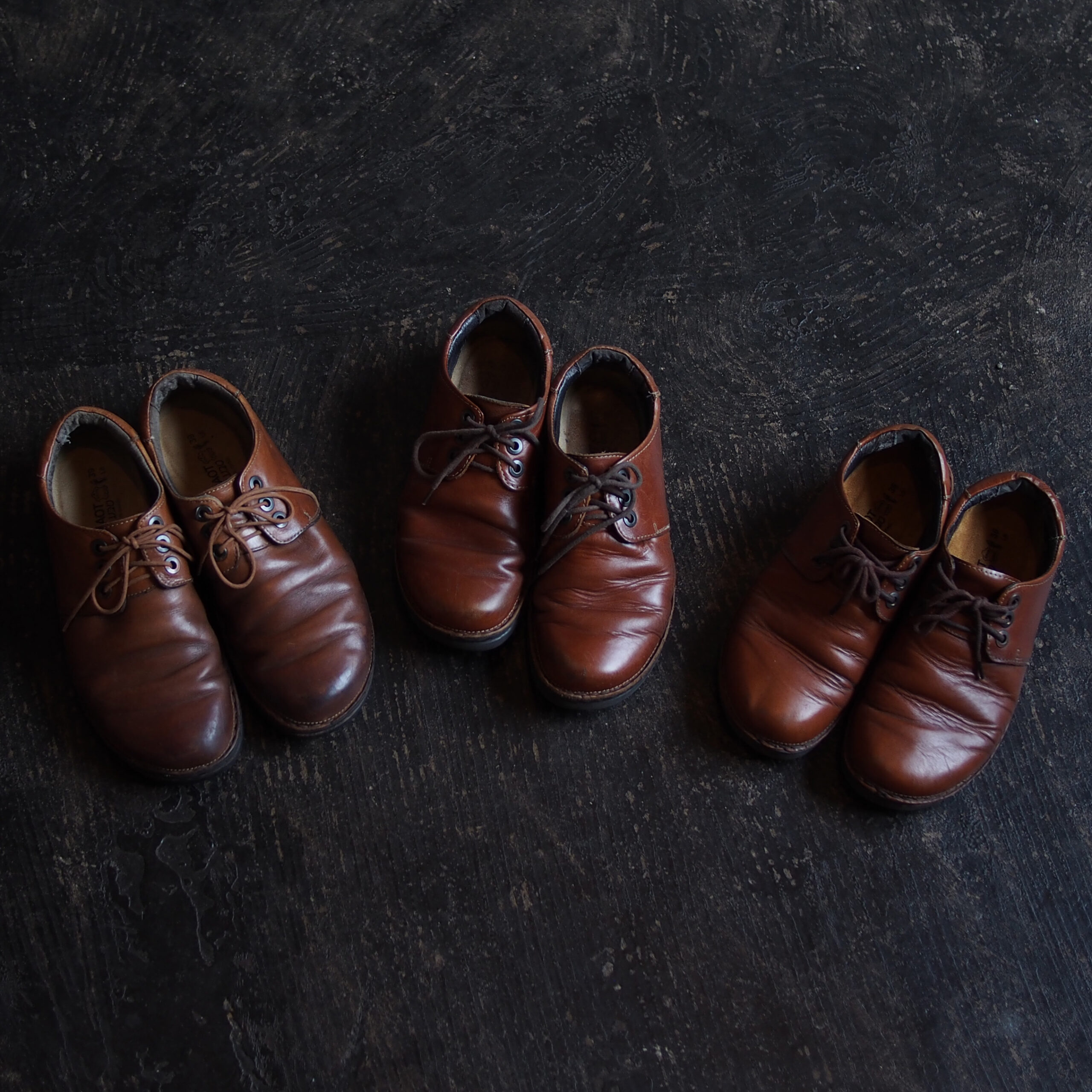Chestnut-scaled.jpg